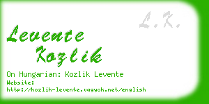 levente kozlik business card